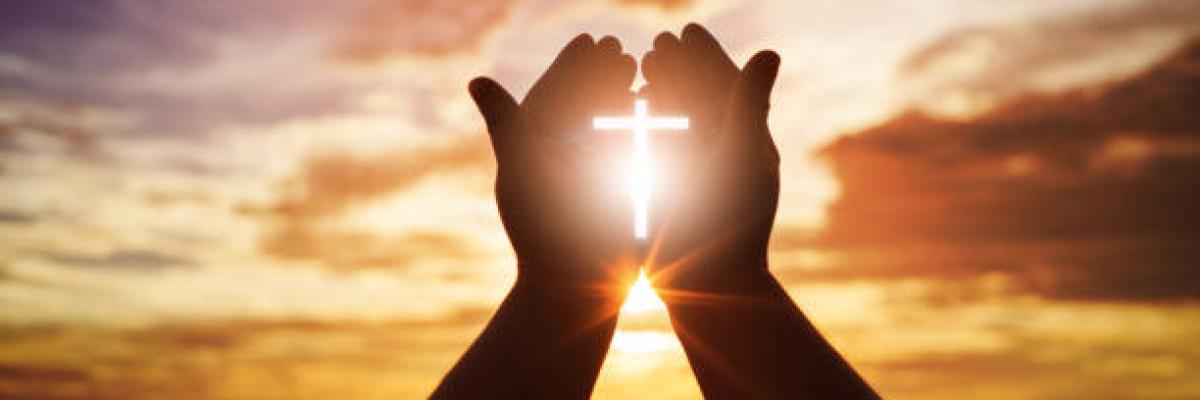 stewardship