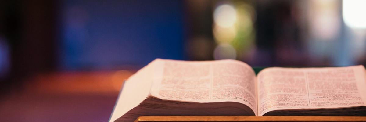 stpeters adult education bible